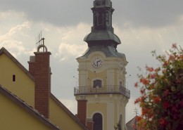 C1254