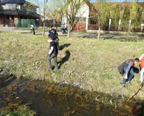 IMG_20190322_145042